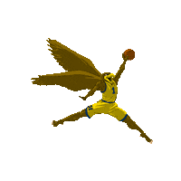 Basketball Dunk Sticker by Humber Hawks