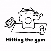 Cat Gym GIF