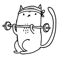 majasbok sports cat illustration gym GIF