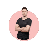 flyingballerina personaltrainer instructor poledancestudio studioflyingballerina Sticker