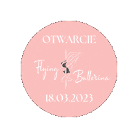 flyingballerina poledance poledancing poledancestudio flyingballerina Sticker