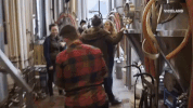 beer GIF by BEERLAND