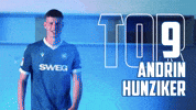 Soccer Goal GIF by Karlsruher SC