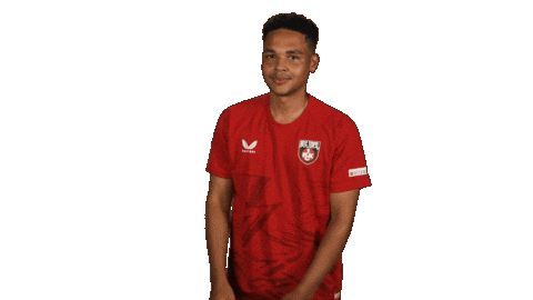 Fc Kaiserslautern Football Sticker by Bundesliga