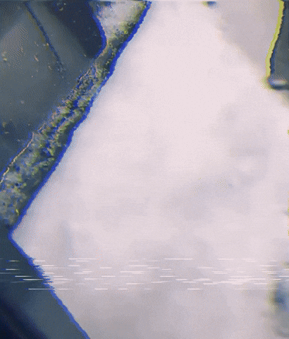 giphy.gif