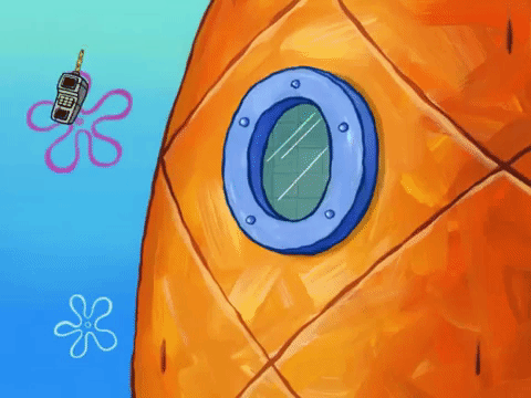 season 8 GIF by SpongeBob SquarePants