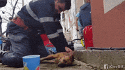 GIF by Demic