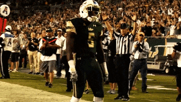 excited bad man GIF by USF Athletics