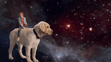 space invaders wtf GIF by ADWEEK