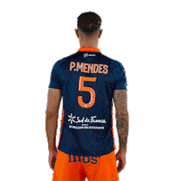 Pedro Mendes Sticker by MHSC