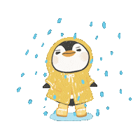 Rainy Day Rain Sticker