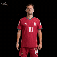 Cristiano Ronaldo Portugal GIF by Respective