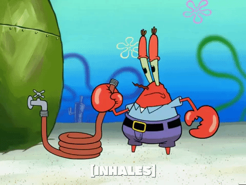 season 4 GIF by SpongeBob SquarePants