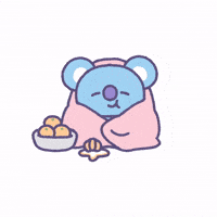Winter Blanket GIF by BT21