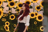 Twice GIF