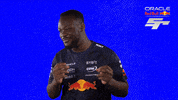 Red Bull Sr GIF by Oracle Red Bull Racing