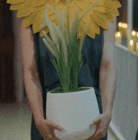 Sunflower Smile GIF