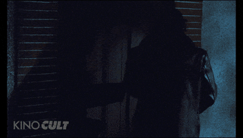 Home Invasion Wtf GIF by Kino Lorber