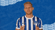 Arne Maier Var GIF by Hertha BSC