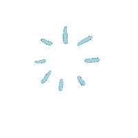 Circle Shine Sticker