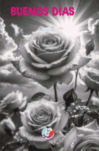 Flores Comienza GIF by Murcianys LLC