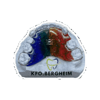 Bunt Orthodontics Sticker by kfo.bergheim