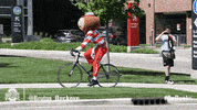 Ohio State Sport GIF by Ohio State Athletics