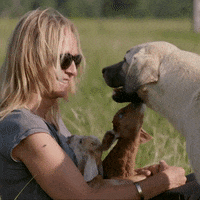 floortje naar het einde van de wereld usa GIF by BNNVARA