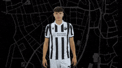 Svs1916 GIF by SV Sandhausen