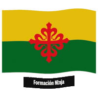 Bandera Andalucia Sticker by Formación Ninja