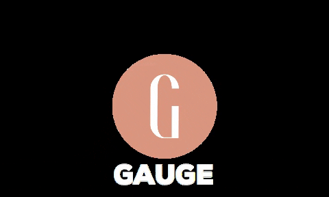 bygauge giphyupload gauge bygauge GIF