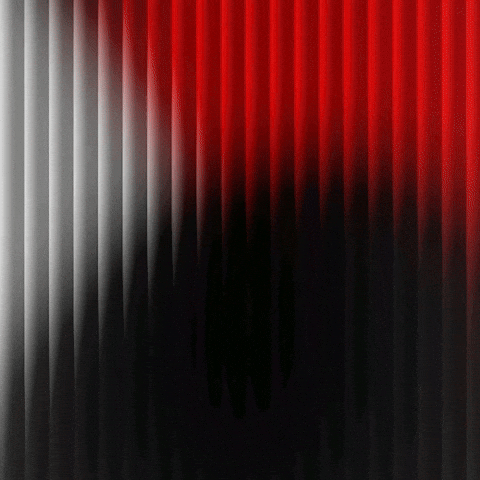 T Mobile Luxury GIF by RedPocket