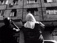 Straydog GIF by amuse