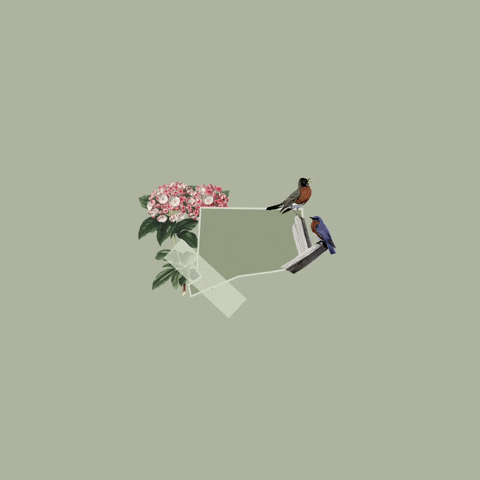 United States Trump GIF by Crooked Media