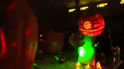 Great Pumpkin Halloween GIF by Mark Rober