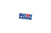 Voting Election 2020 Sticker by Joe Biden