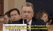 news impeachment impeachment inquiry kurt volker GIF