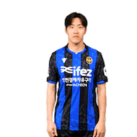 Football Soccer Sticker by Incheon United FC