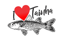 Manezinho Tainha Sticker by Hiperbom Supermercados