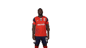 Goal Gilles Sticker by La Berrichonne de Châteauroux