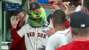 Celebrate Red Sox GIF by MLB