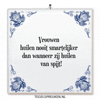 Humor Nl GIF by Tegelspreuken.nl