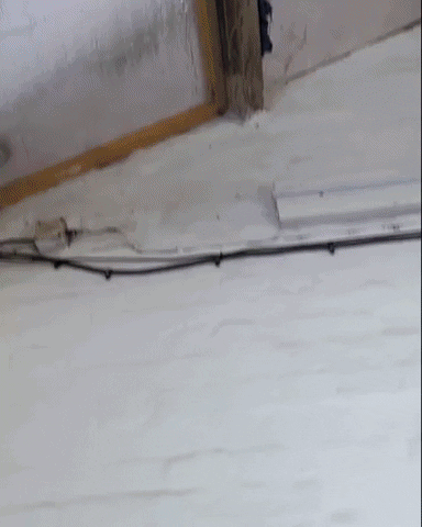 JennaLhouette giphyupload GIF