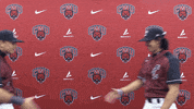 Baseball Wildcats GIF by CWU Athletics