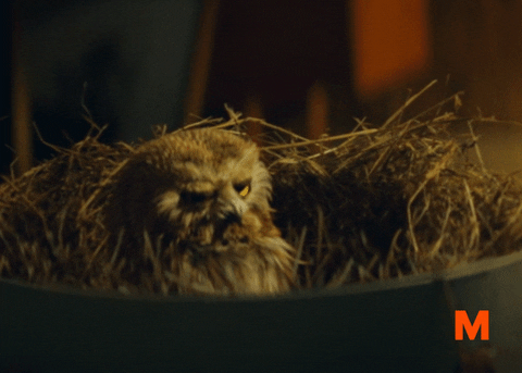 Tired Time For Bed GIF by Migros