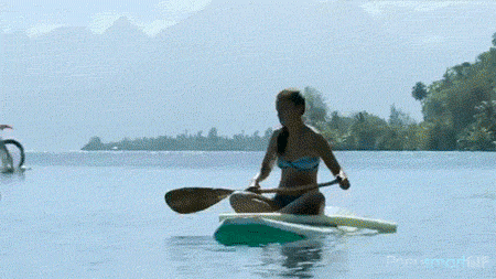 GIF by Okkult Motion Pictures