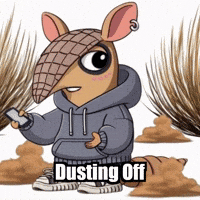 Desert Dusting Off GIF by Chillo Dillo