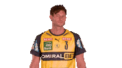 Handball-Bundesliga Fun Sticker by LIQUI MOLY HBL