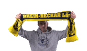 Handball-Bundesliga Fan Sticker by LIQUI MOLY HBL