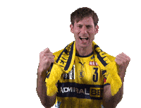 Handball-Bundesliga Fan Sticker by LIQUI MOLY HBL